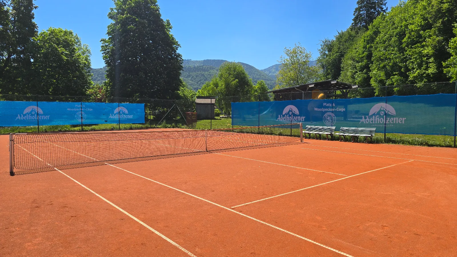 Tennisanlage TSV Bergen – Woodpecker-Cage